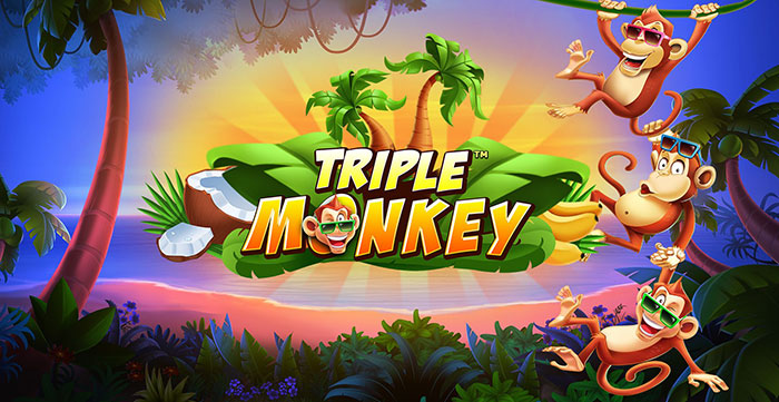 Triple Monkey slot