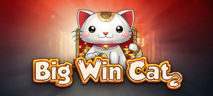 Big Win Cat slot